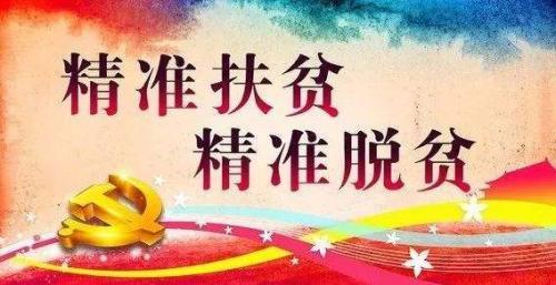最新观看2020全国脱贫攻坚网络展观后感心得大全