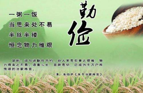 世界勤俭日厉行节约演讲稿范文大全
