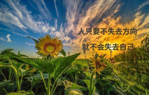 既温柔又励志的句子大全