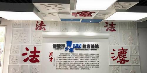 马仔青少年法治教育片观后感心得大全