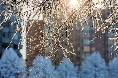 雪景发朋友圈的精美句子精选40句