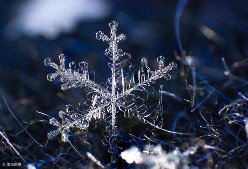 冬天第一场雪的朋友圈