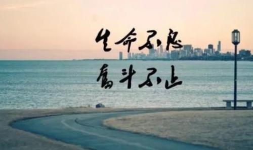 最新三观超正的温柔文案精选，值得收藏