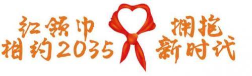 “红领巾相约2035”云队课心得体会推荐