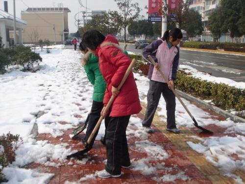 2021年学生社会实践自我鉴定范文摘抄