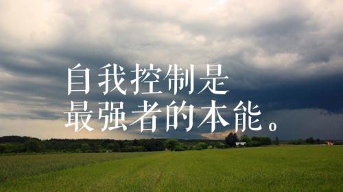 适合写给自己的文案大全