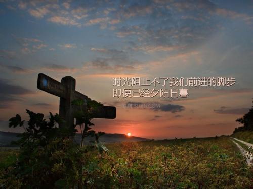 以精彩为题的优秀作文开头结尾