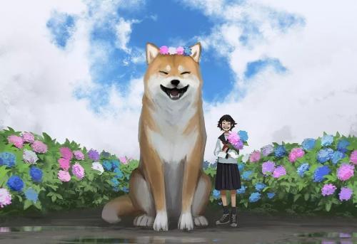 席慕蓉经典作品名句摘抄