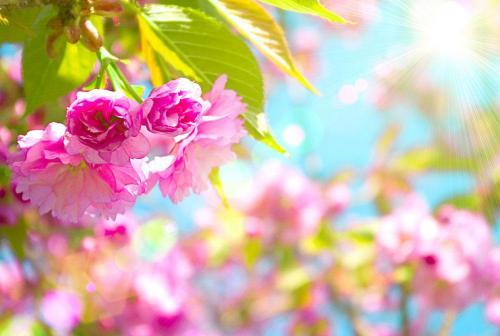2021年牛年除夕春节拜年短信精选