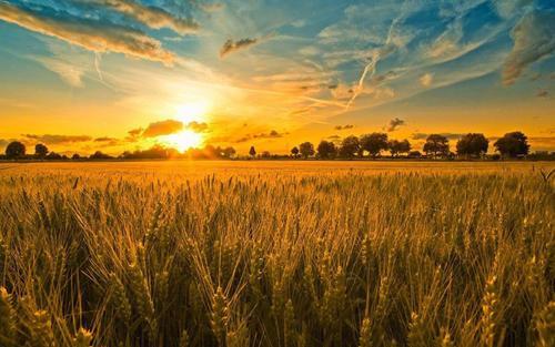 2021年除夕吃年夜饭的说说40句