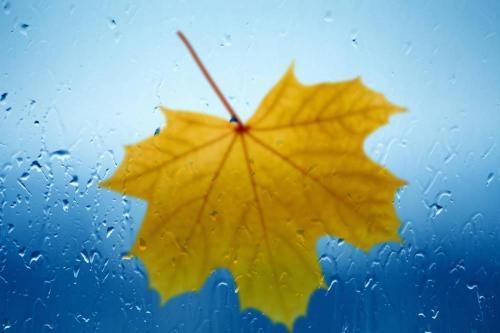 很扎心伤感的雨天说说大全