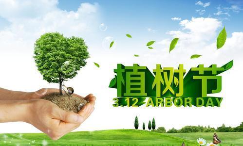 2021公益植树节优秀心得精选3篇