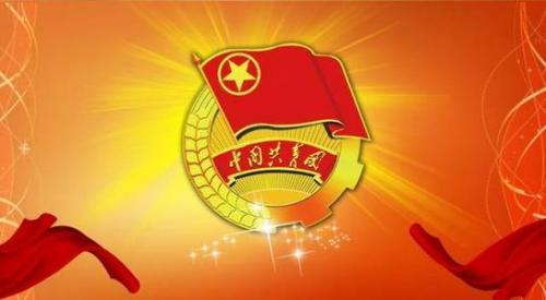 团员个人年度总结简短