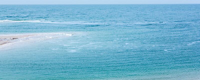 死海里有鱼吗 死海里有没有鱼