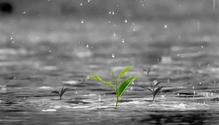 宁波梅雨季节是几月份 宁波梅雨季节是什么时候
