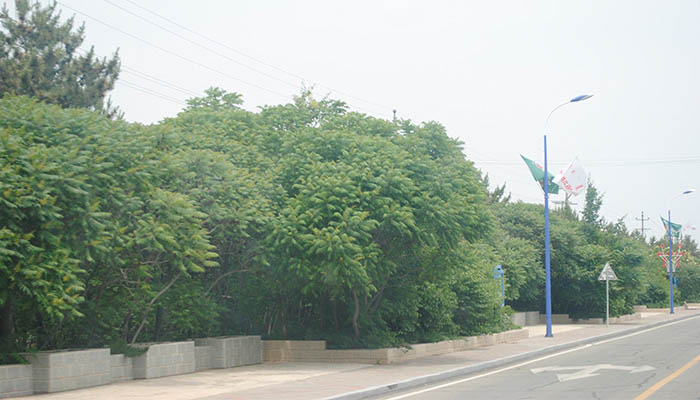 成吉思汗陵建于哪年 内蒙古成吉思汗陵什么时候建的