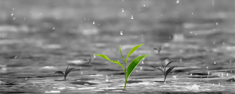 入伏下雨有什么说法
