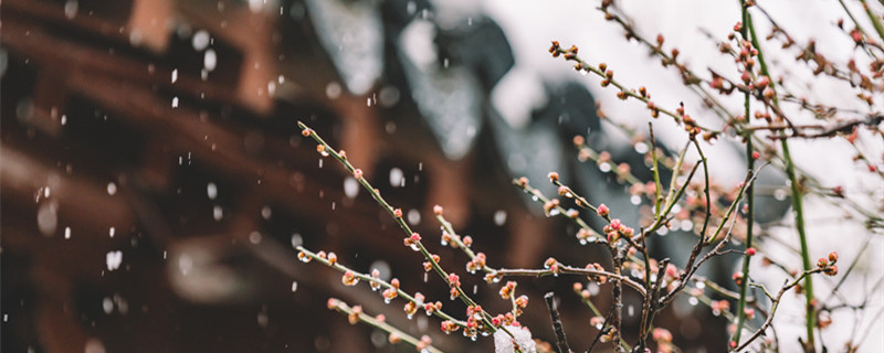 初雪的寓意和象征是什么 初雪有什么寓意