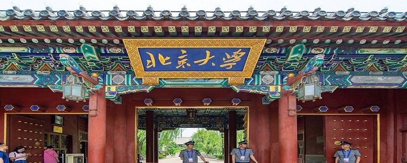 服从调剂是在什么范围内调剂 新高考服从调剂是在什么范围内调剂