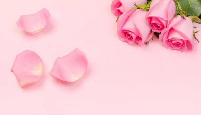 21朵粉玫瑰花语是什么