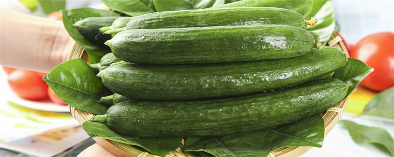 5-6月份的当季蔬菜有哪些 5-6月份的时令蔬菜