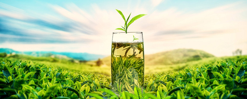大方茶叶是什么茶 大方茶属于什么茶