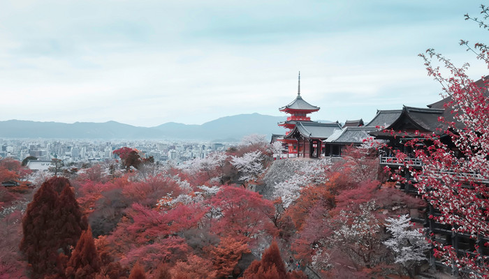 镰仓在日本哪里 镰仓在日本的什么地方