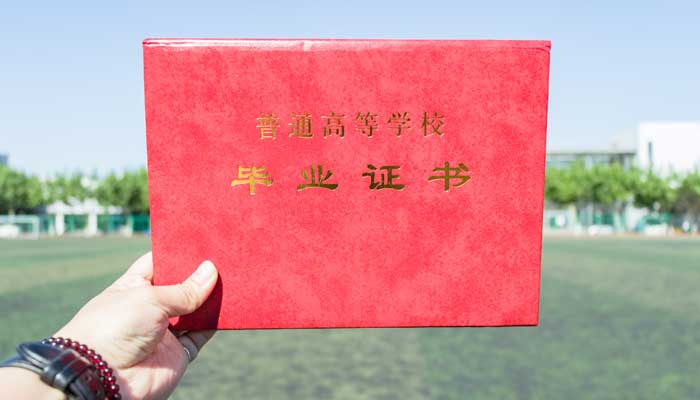 学历证书号是哪一个 学历证书编号是什么 