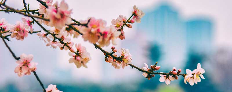 烟花三月下扬州的扬州是现在哪里 烟花三月下扬州的扬州是什么地方