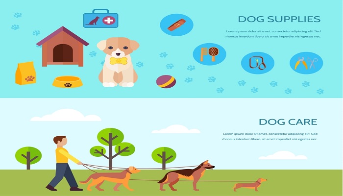 澳洲牧牛犬的优缺点 澳洲牧牛犬的优点和缺点有什么