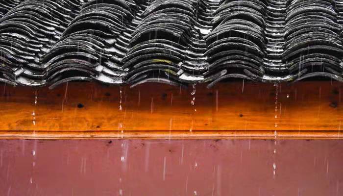 春雨是什么颜色的 春雨的颜色是什么