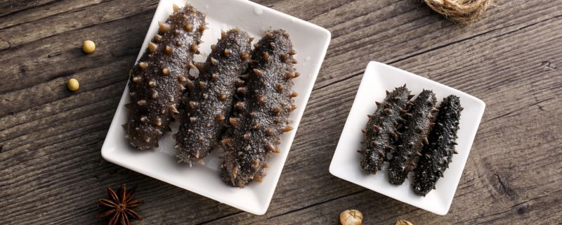 干海参如何保存 干海参怎样保存