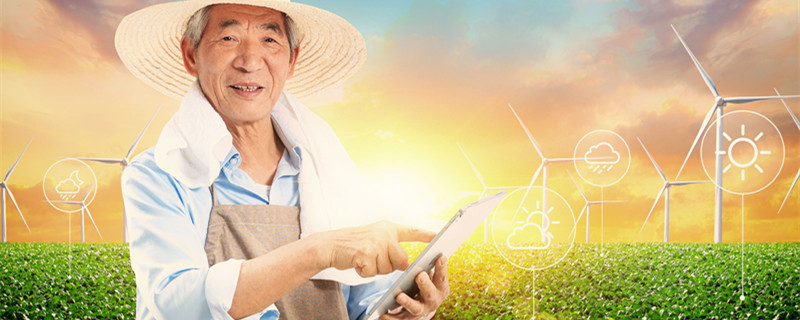 两不愁三保障分别指的是 两不愁三保障分别指的是什么东西