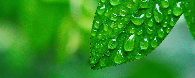 为什么会下雨呢 为什么天空会下雨