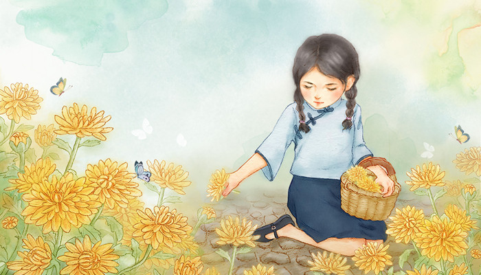 菊花代表什么 菊花代表啥