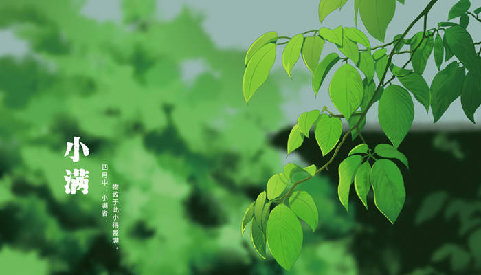 小满是什么季节 小满的时候是哪个季节