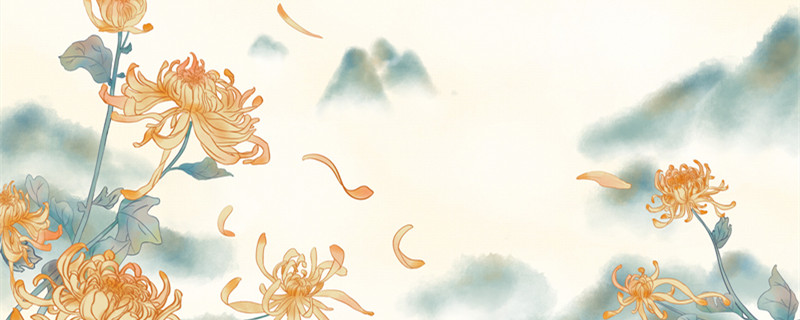 菊花代表什么 菊花代表啥