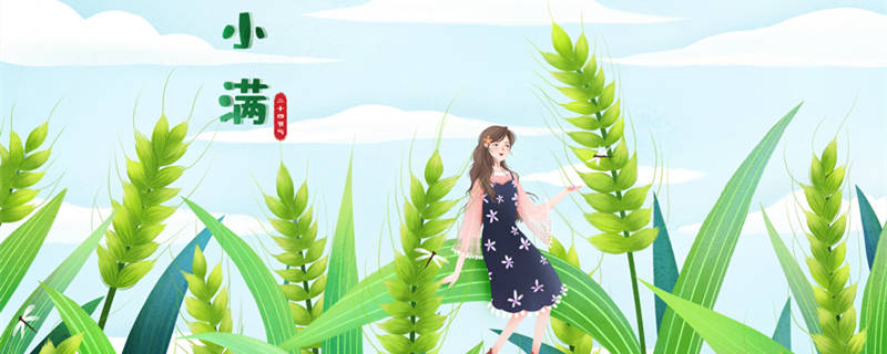 小满是什么季节 小满的时候是哪个季节