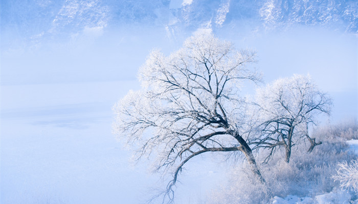 雪是怎样形成的 雪是经过什么形成的