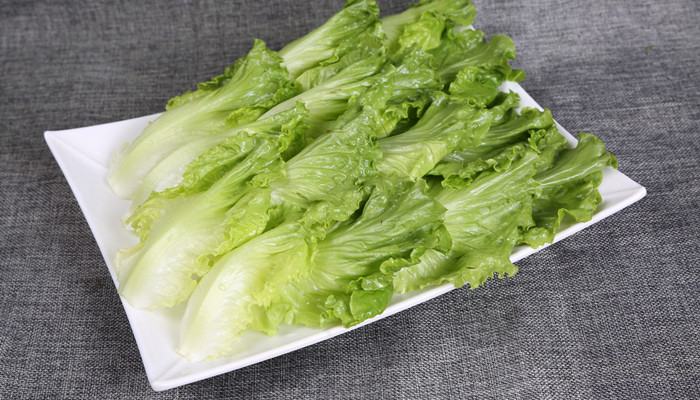 立春节气种植什么菜 立春后适合种哪些菜