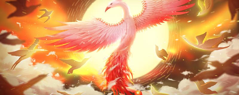 凤凰是什么鸟 凤凰是哪种鸟