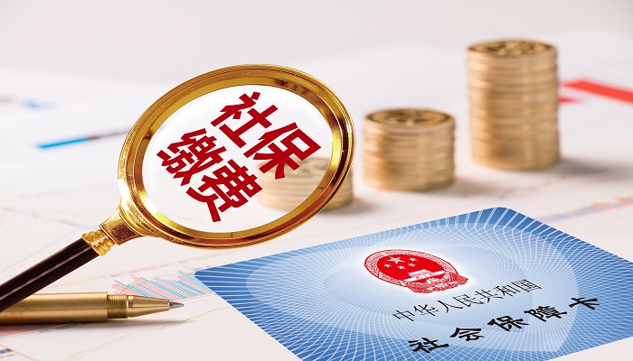 个人社保缴费记录查询 个人社保缴费记录查询在哪里查