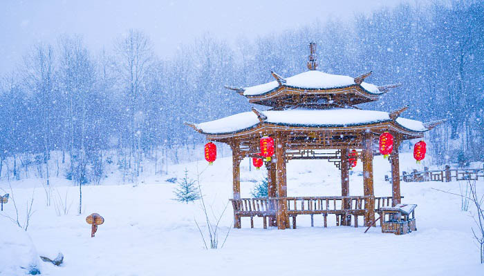 雪花的形状 雪花的形状是怎么形成的