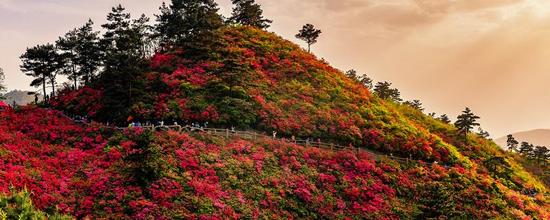 太白峰在哪个地方 太白峰在什么地方