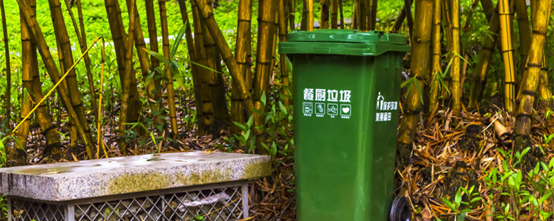 鸡蛋壳属于什么垃圾分类 鸡蛋壳是哪种垃圾