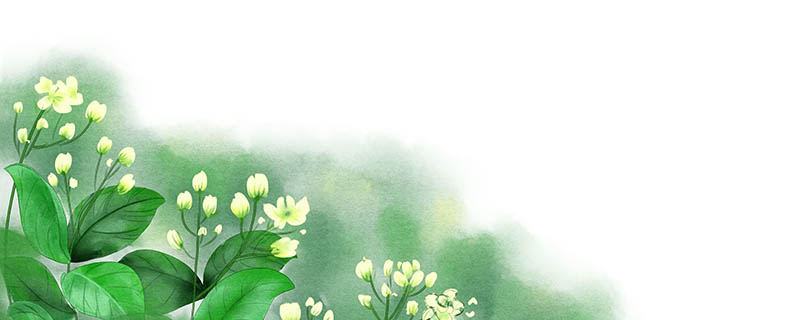 哪里有茉莉花 茉莉花的产地在哪里