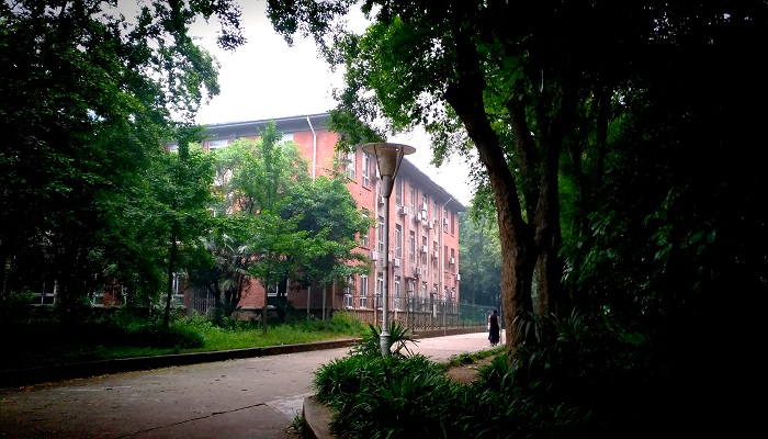 湘潭大学有哪些专业