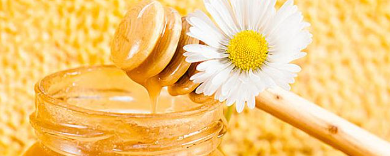 蜂蜜，附酿制过程