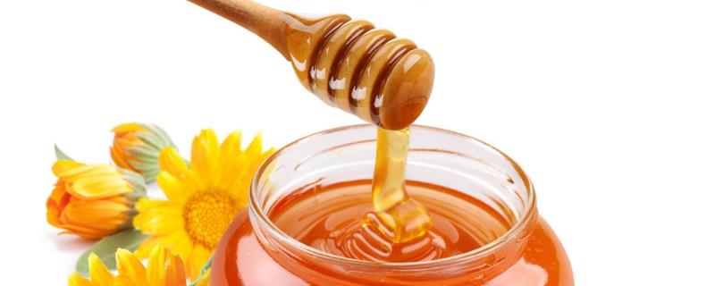 假蜂蜜的特点有哪些，详细介绍