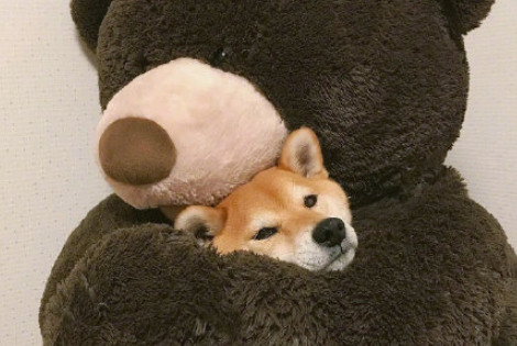 image.png